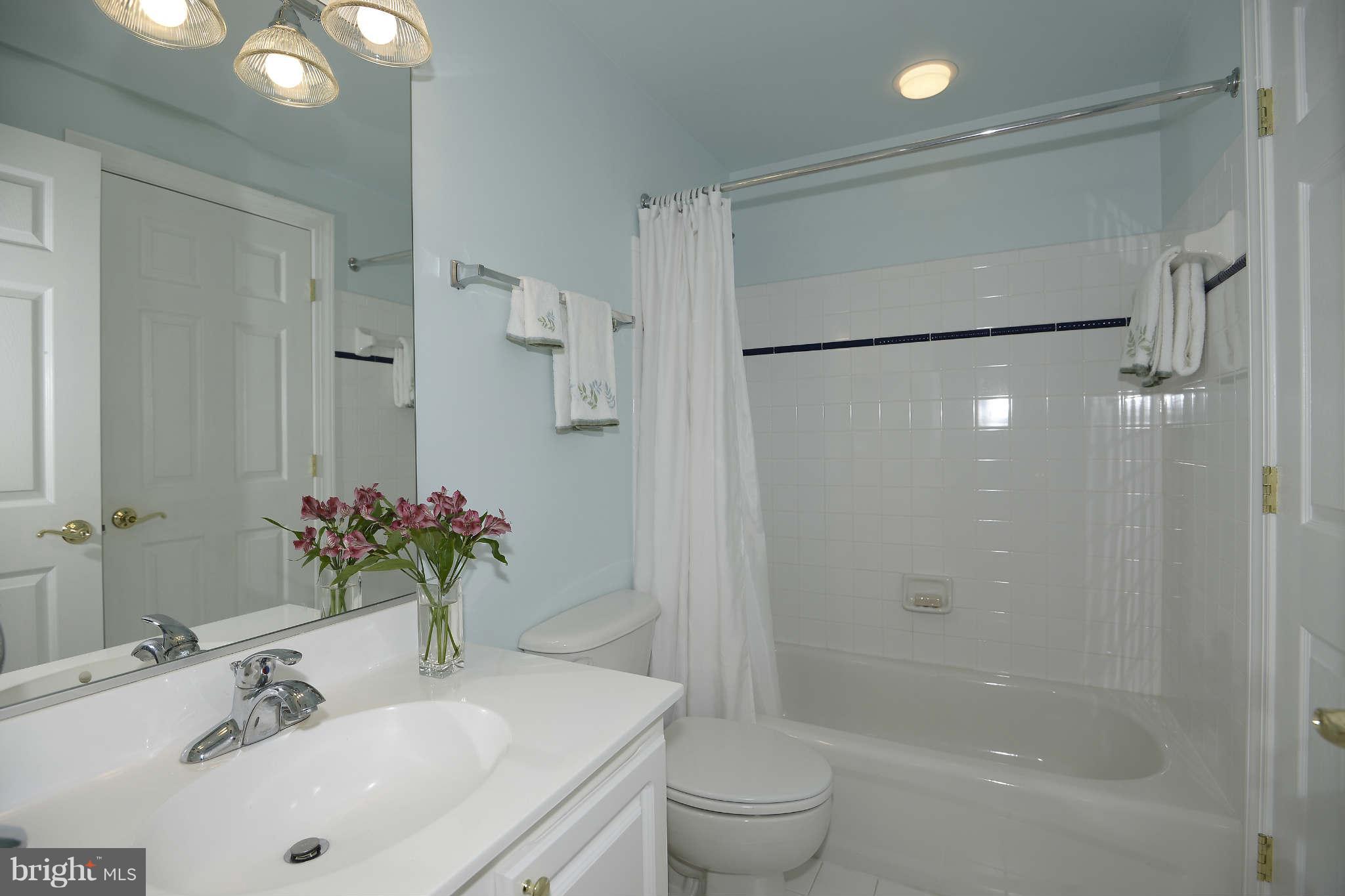 3825 Fulton Street Northwest Washington, DC 20007 - Photo 25 of 29 Interior (General)