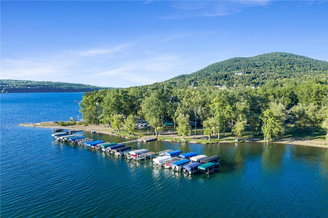 6380 Vine Valley Road Middlesex, NY 14507 - Photo 4 of 47 DOCK YOUR BOAT! SPECTACULAR NATURE PARADISE OF BARE HILL!