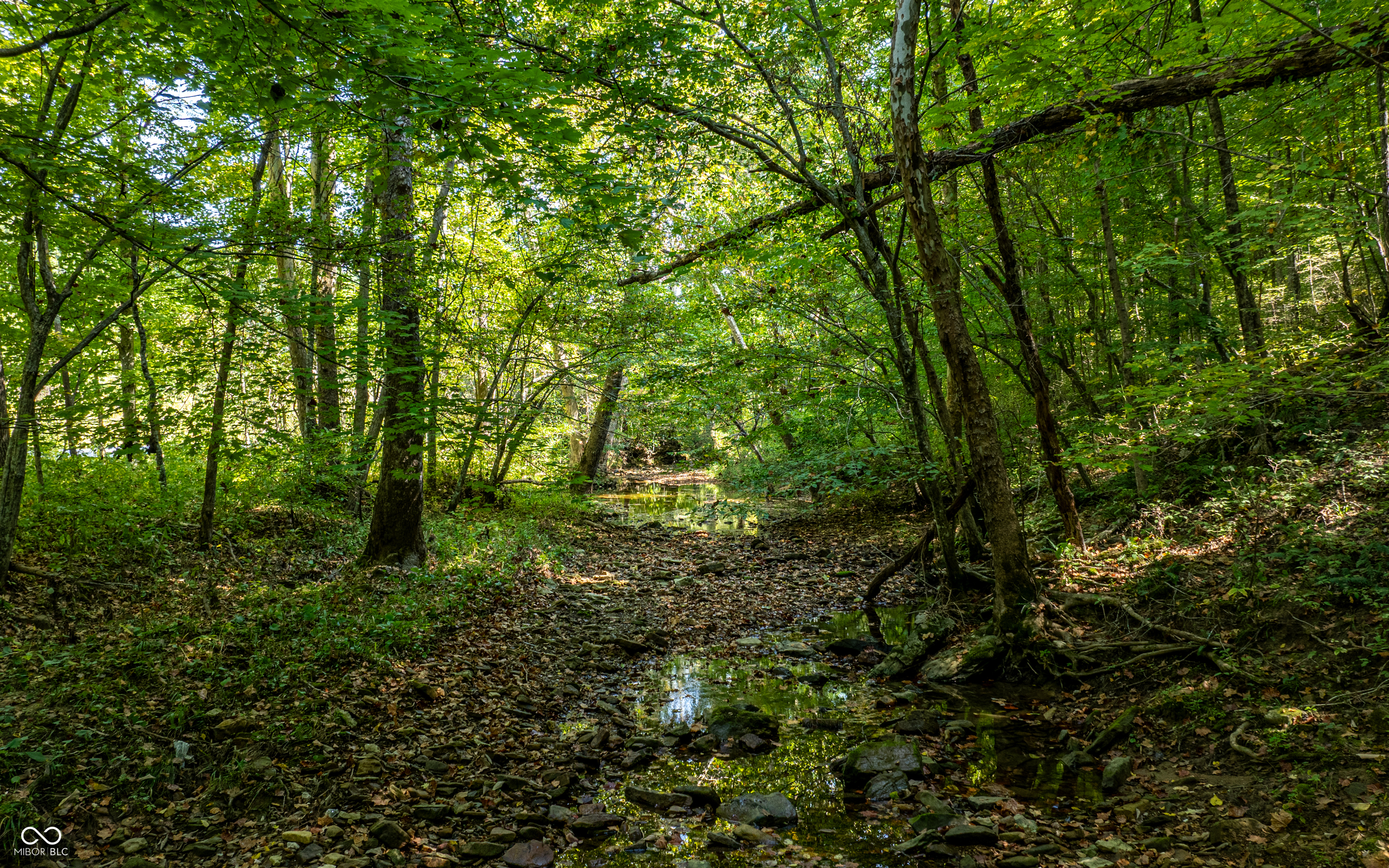 0 Newark North Road Solsberry, IN 47459 - Photo 3 of 8