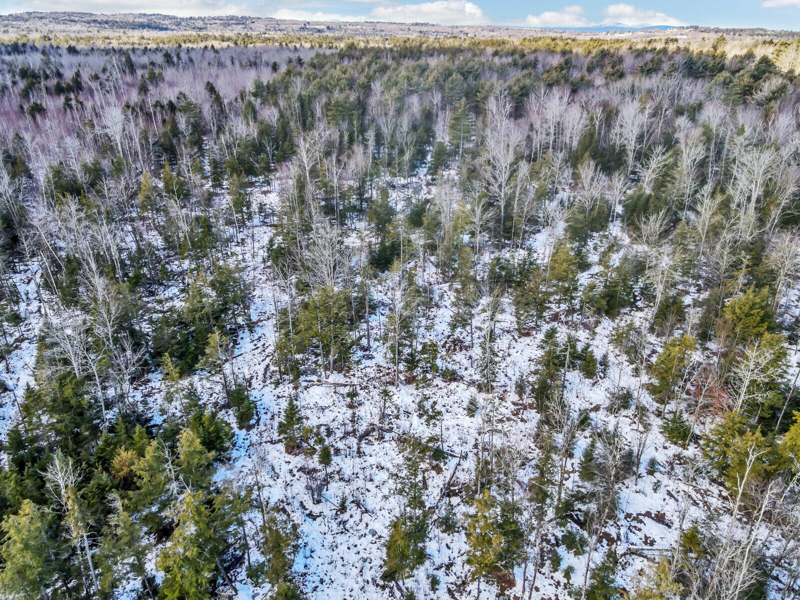 663 White School House Road Madison, ME 04950 - Photo 9 of 21 09_DJI_0940_DxO_mls