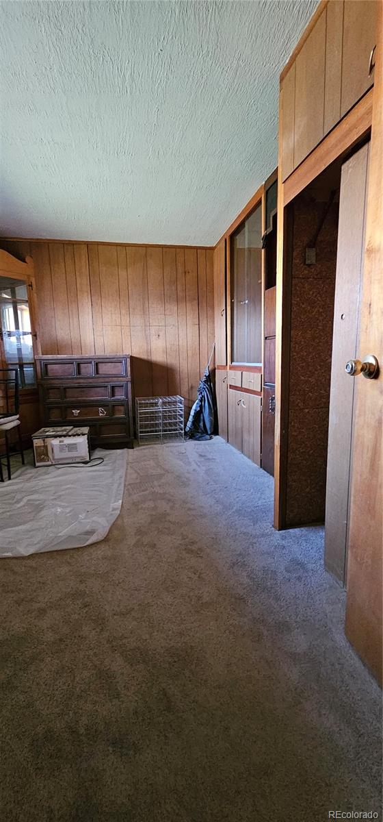 205 West 4th Avenue Kit Carson, CO 80825 - Photo 9 of 19