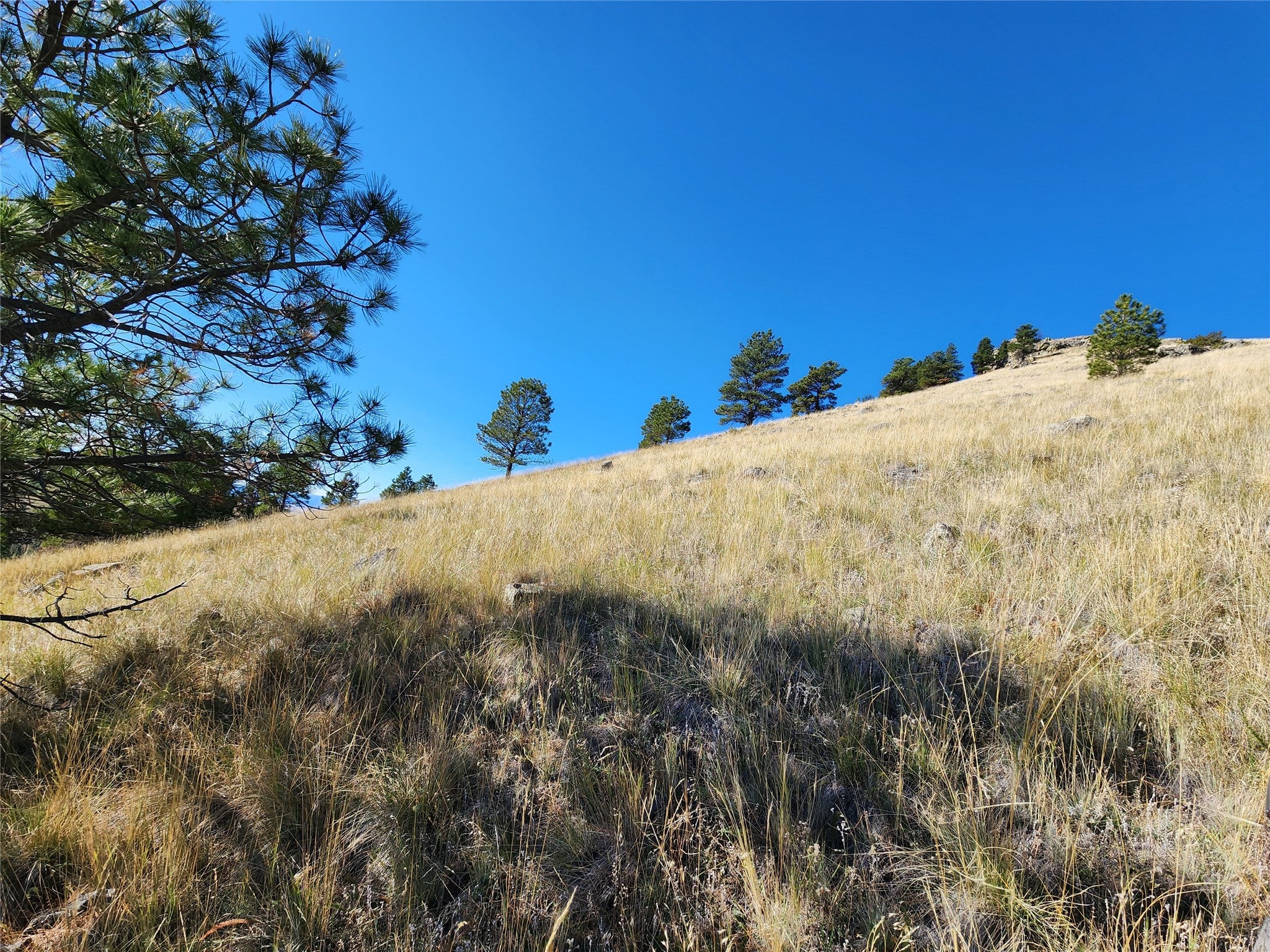 90 Hideaway Lane Cascade, MT 59421 - Photo 7 of 16 Gallery Image 7