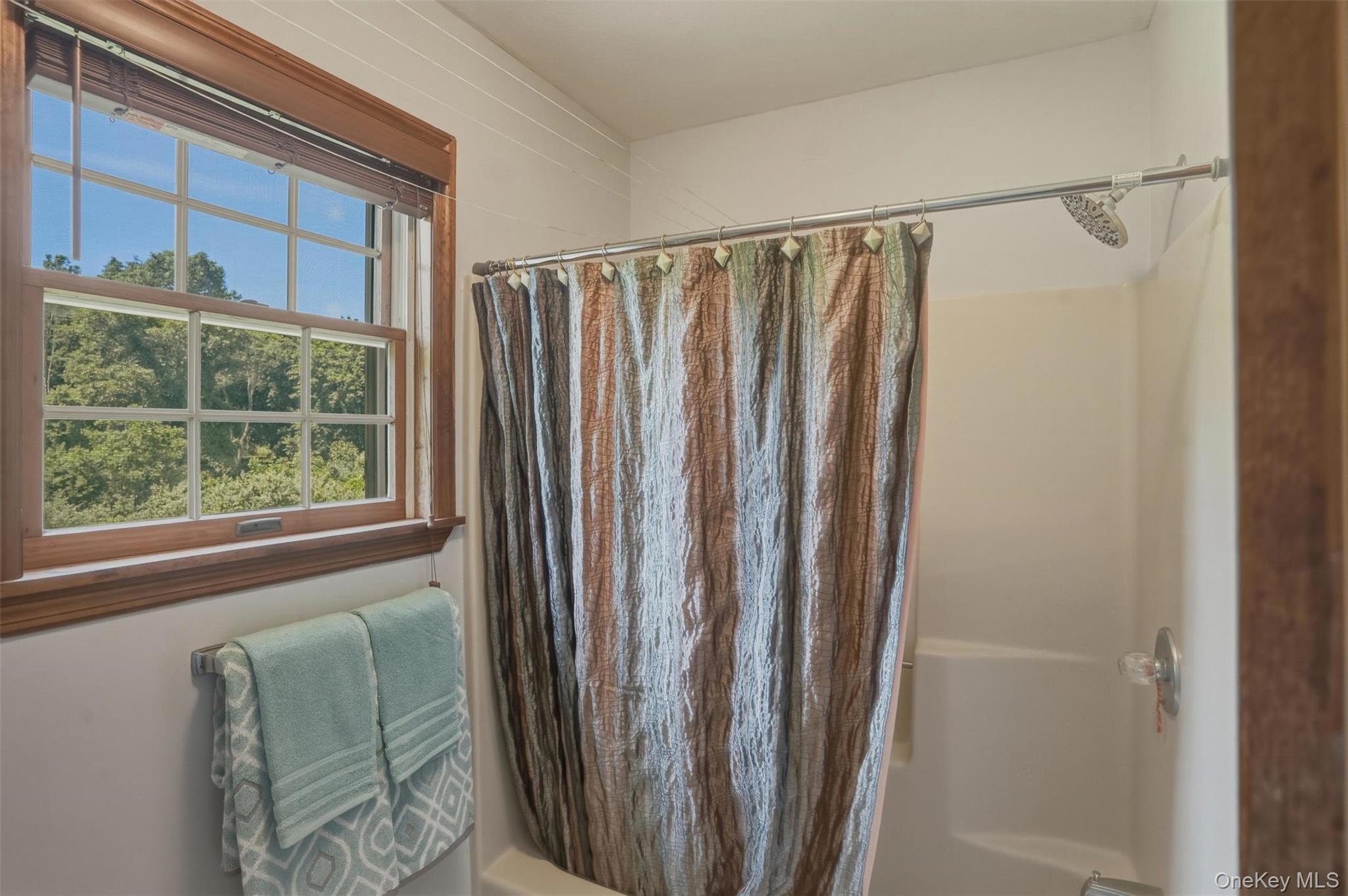 41 Saddle Ridge Drive Hopewell Junction, NY 12533 - Photo 35 of 50 Same Hallway Bathroom