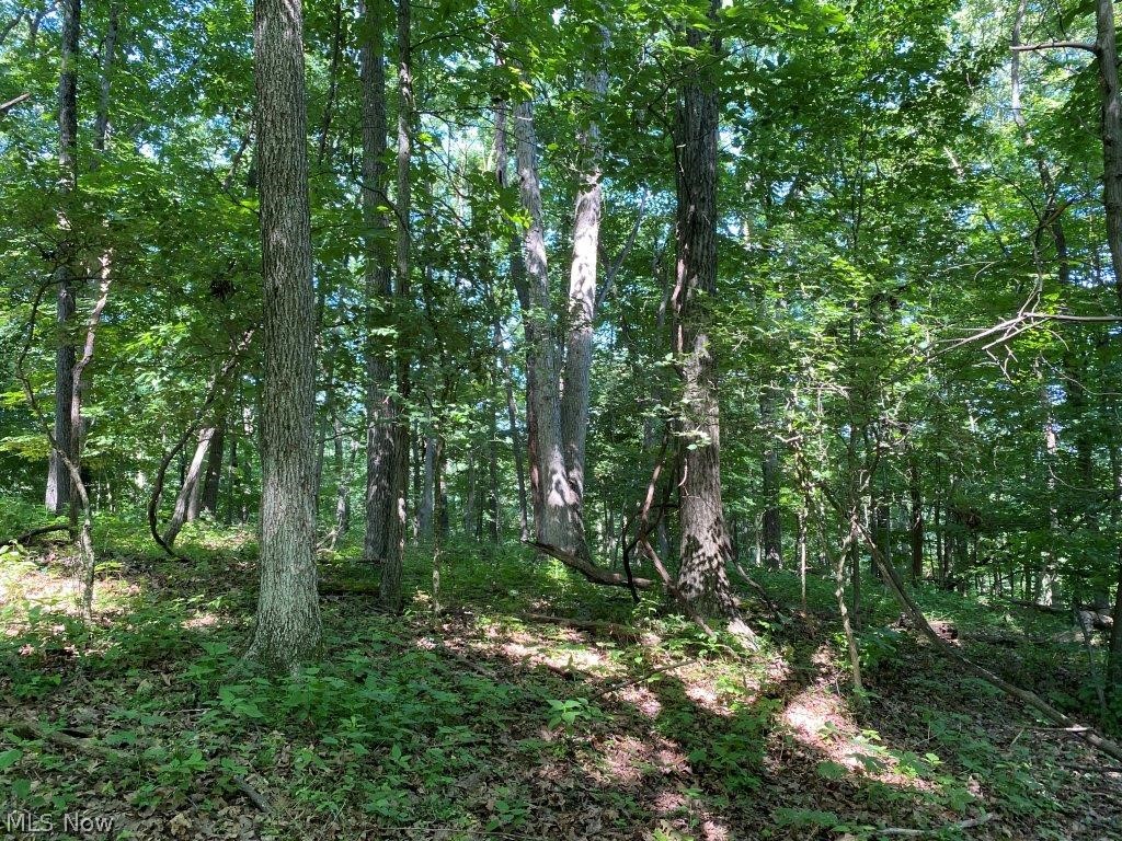Staats Road Howard, OH 43028 - Photo 6 of 11