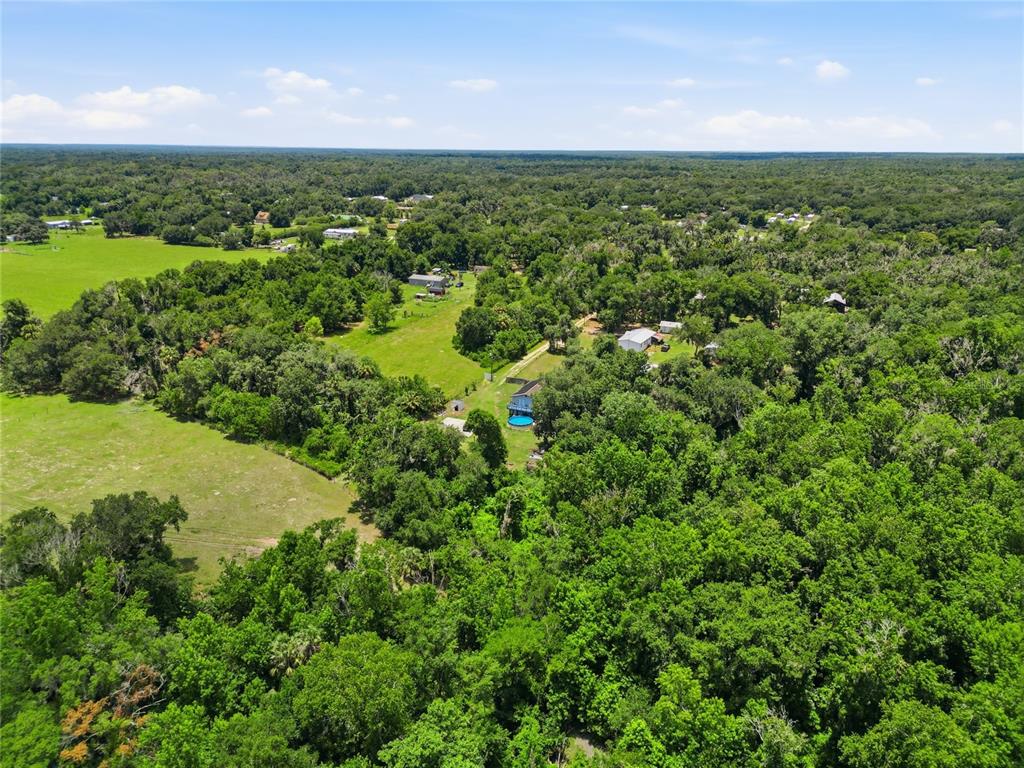 3126 Toole Road Lithia, FL 33547 - Photo 61 of 66