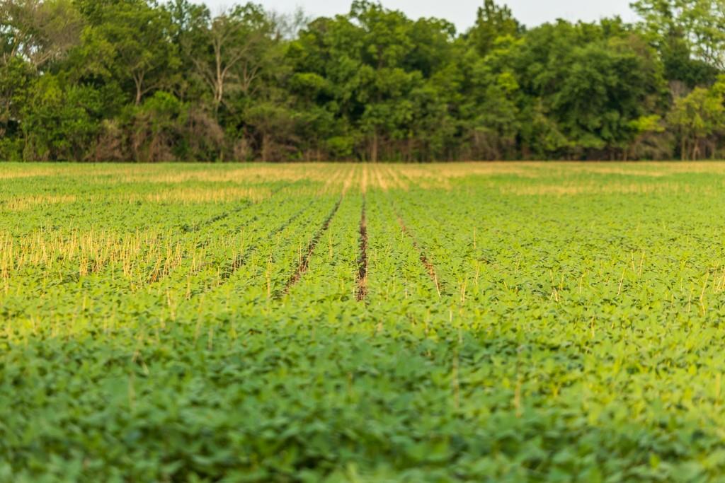 Tbd Northeast 500th Road Warrensburg, MO 64093 - Photo 24 of 40