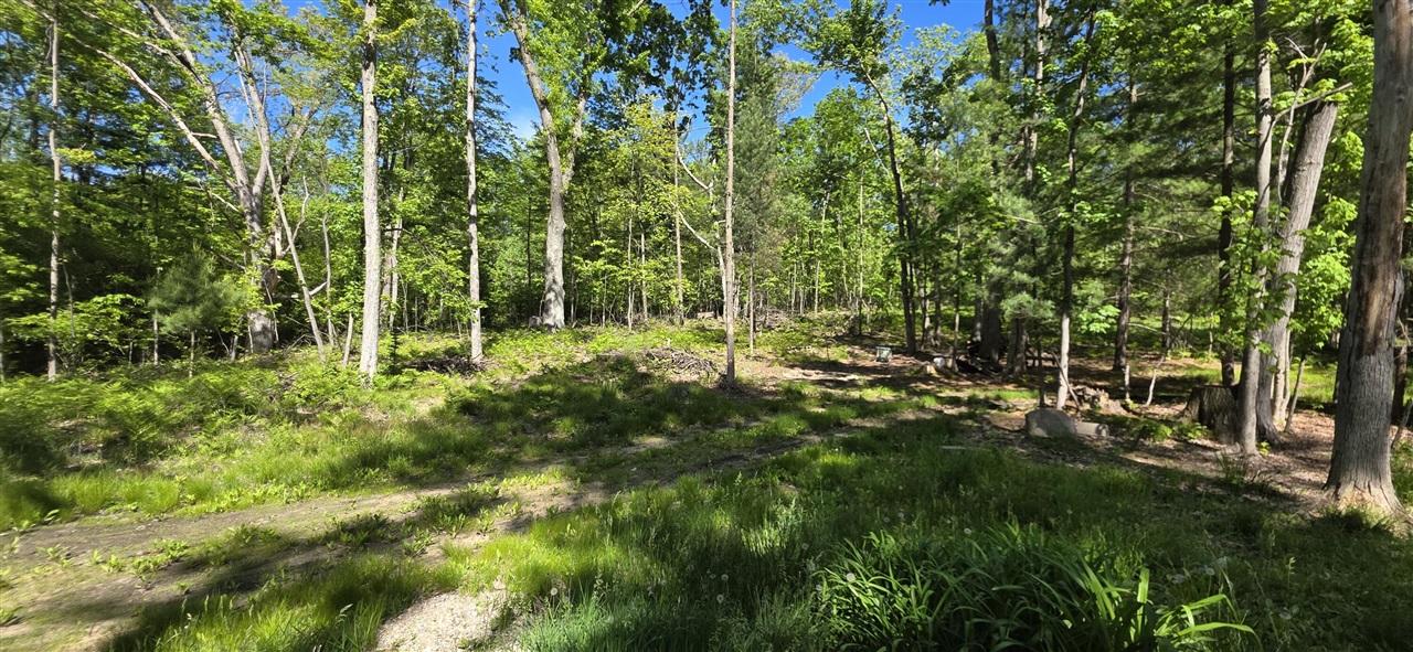 4869 East Free Soil Road Free Soil, MI 49411 - Photo 12 of 39