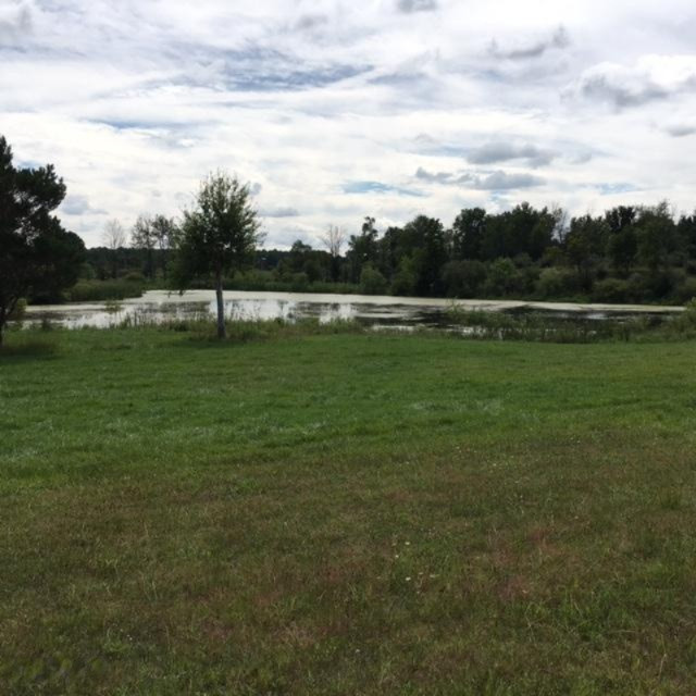 4701 Jefferson Road Lakeview, MI 48850 - Photo 3 of 8 Pond View