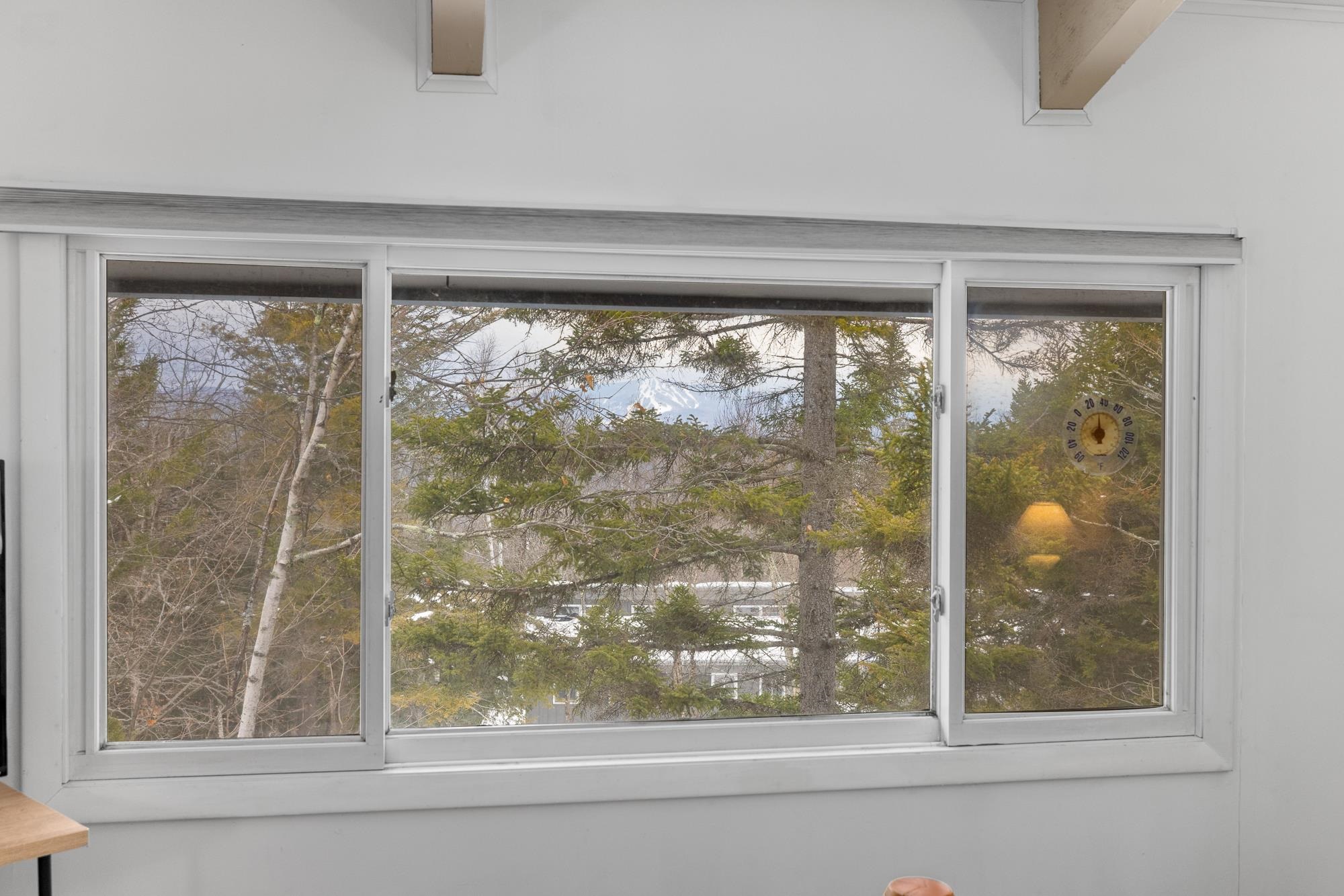 12 Stratton West Road, Unit 12 Winhall, VT 05340 - Photo 21 of 51