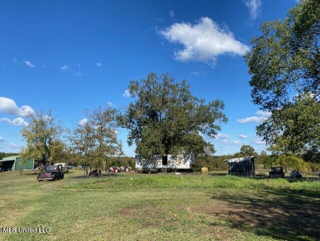 6183 Yellow Dog Road Senatobia, MS 38668 - Photo 18 of 18 thumbnail_IMG_7151