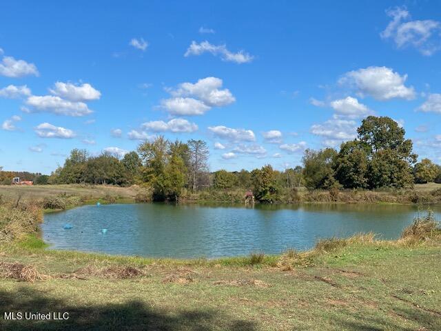 6183 Yellow Dog Road Senatobia, MS 38668 - Photo 2 of 18 thumbnail_IMG_7156