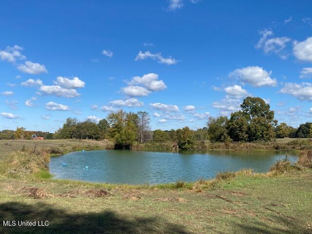 6183 Yellow Dog Road Senatobia, MS 38668 - Photo 3 of 18 thumbnail_IMG_7157