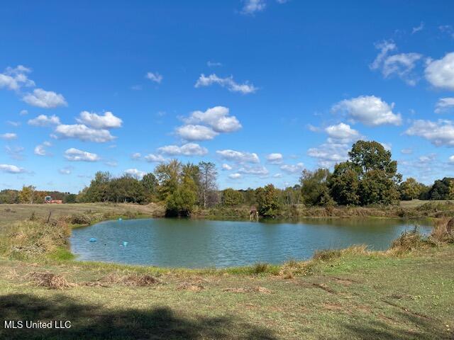 6183 Yellow Dog Road Senatobia, MS 38668 - Photo 4 of 18 thumbnail_IMG_7158