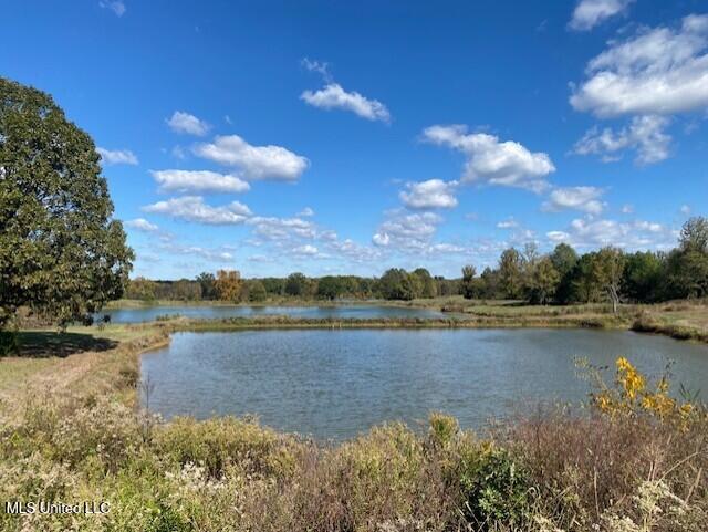 6183 Yellow Dog Road Senatobia, MS 38668 - Photo 6 of 18 thumbnail_IMG_7160