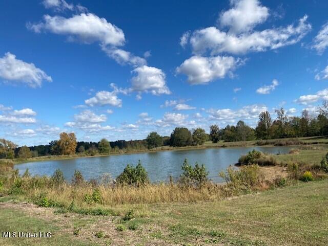 6183 Yellow Dog Road Senatobia, MS 38668 - Photo 8 of 18 thumbnail_IMG_7163