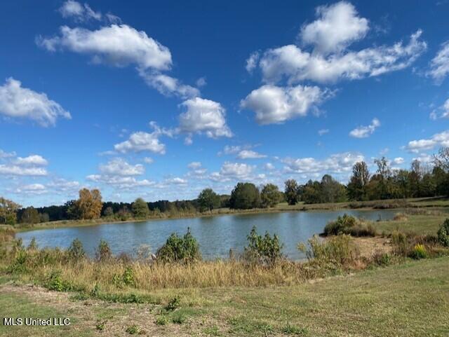 6183 Yellow Dog Road Senatobia, MS 38668 - Photo 9 of 18 thumbnail_IMG_7164