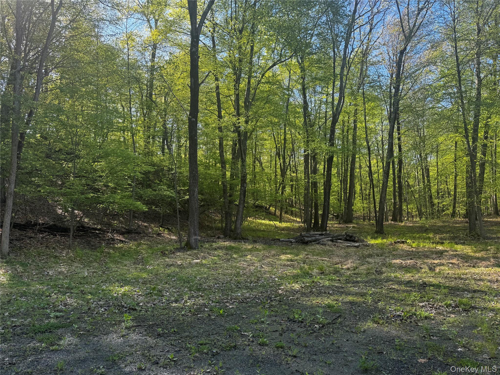 Hall Hill Road Ancram, NY 12502 - Photo 10 of 11 a view of outdoor space with trees all around