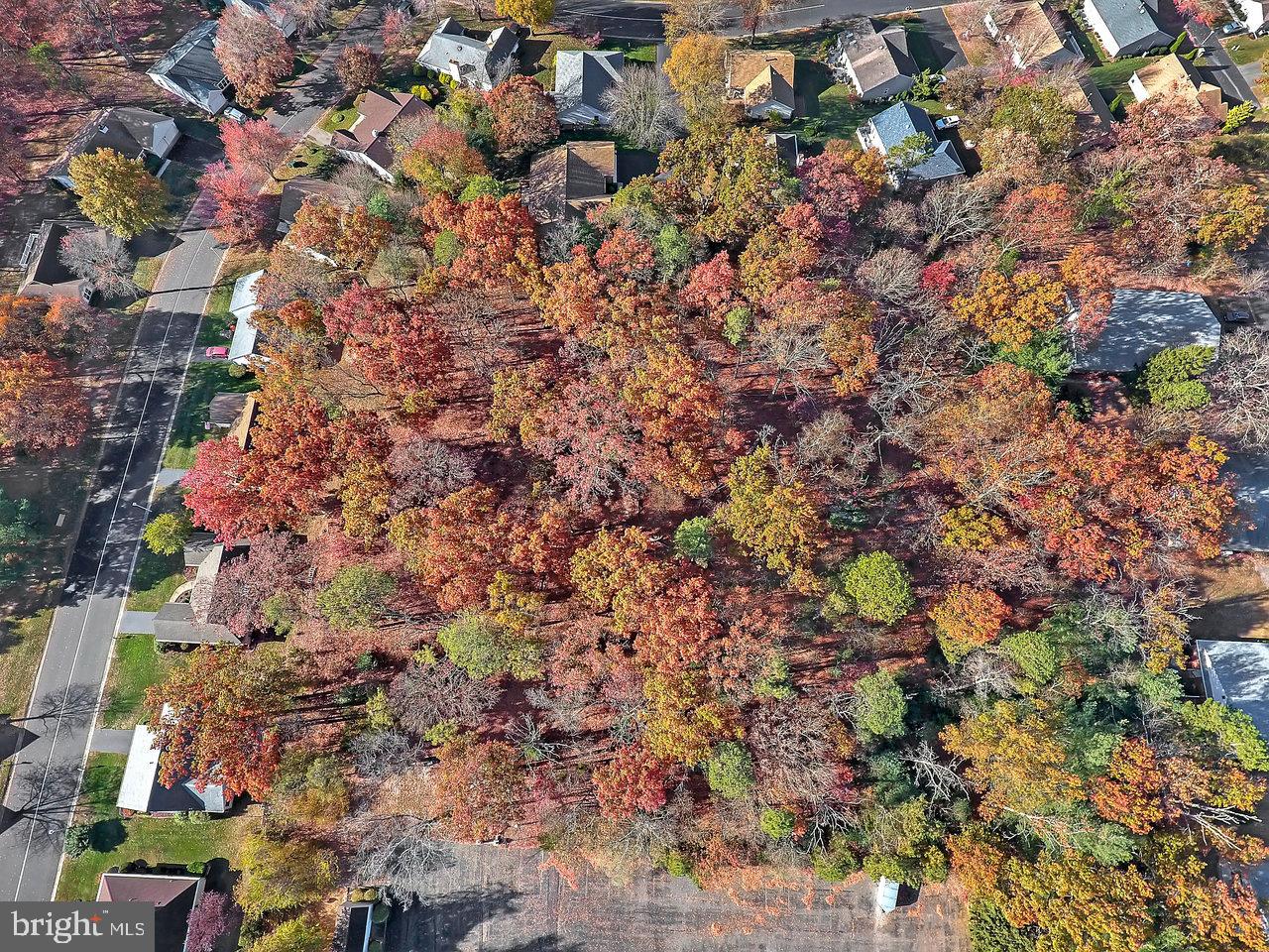 40 Schoolhouse Road Manchester Township, NJ 08759 - Photo 3 of 5 a view of a city
