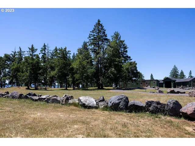 a view of yard with trees