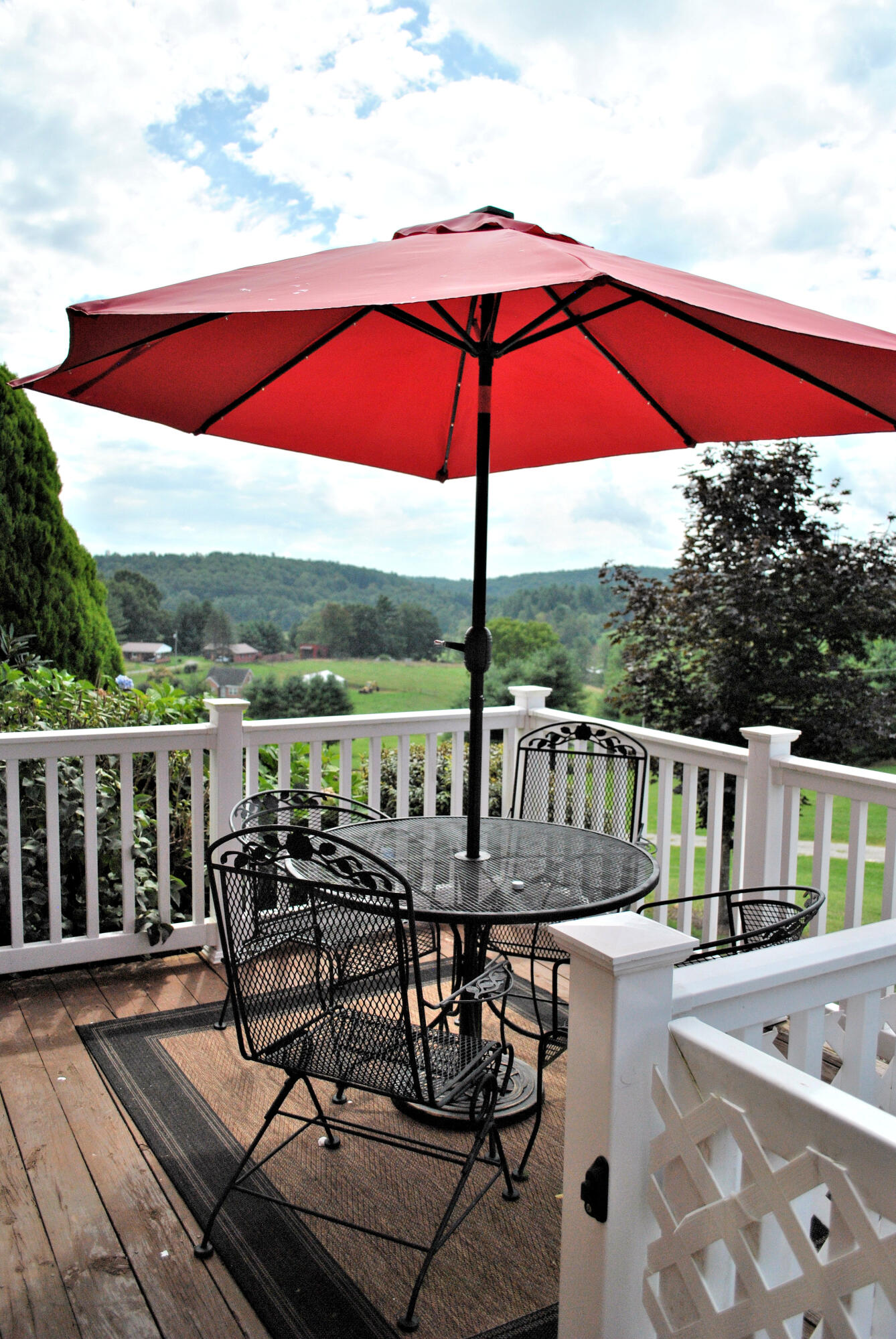 543 Meadow Run Road Southeast Copper Hill, VA 24079 - Photo 16 of 81 6DSC_1006