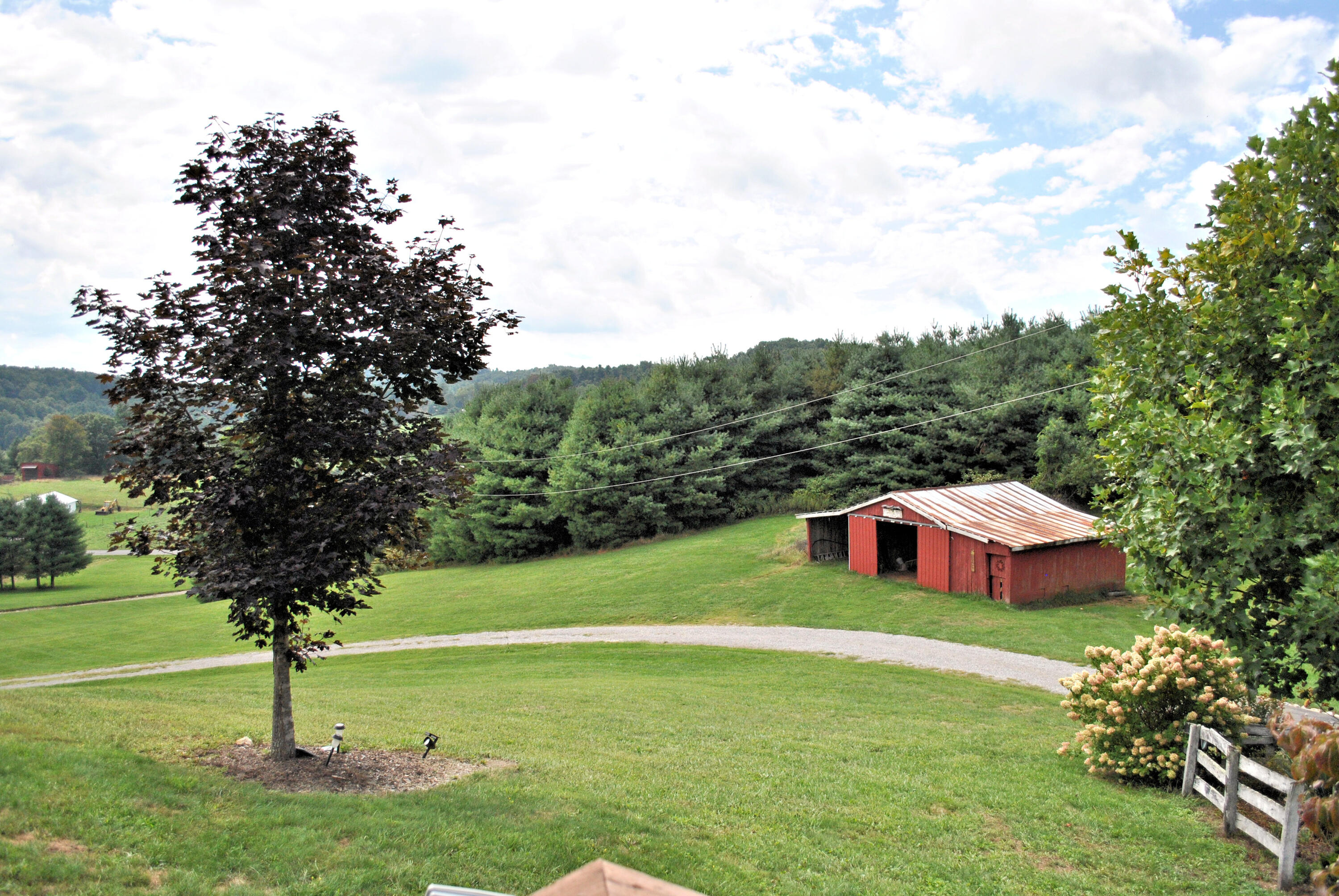 543 Meadow Run Road Southeast Copper Hill, VA 24079 - Photo 3 of 81 51DSC_1004