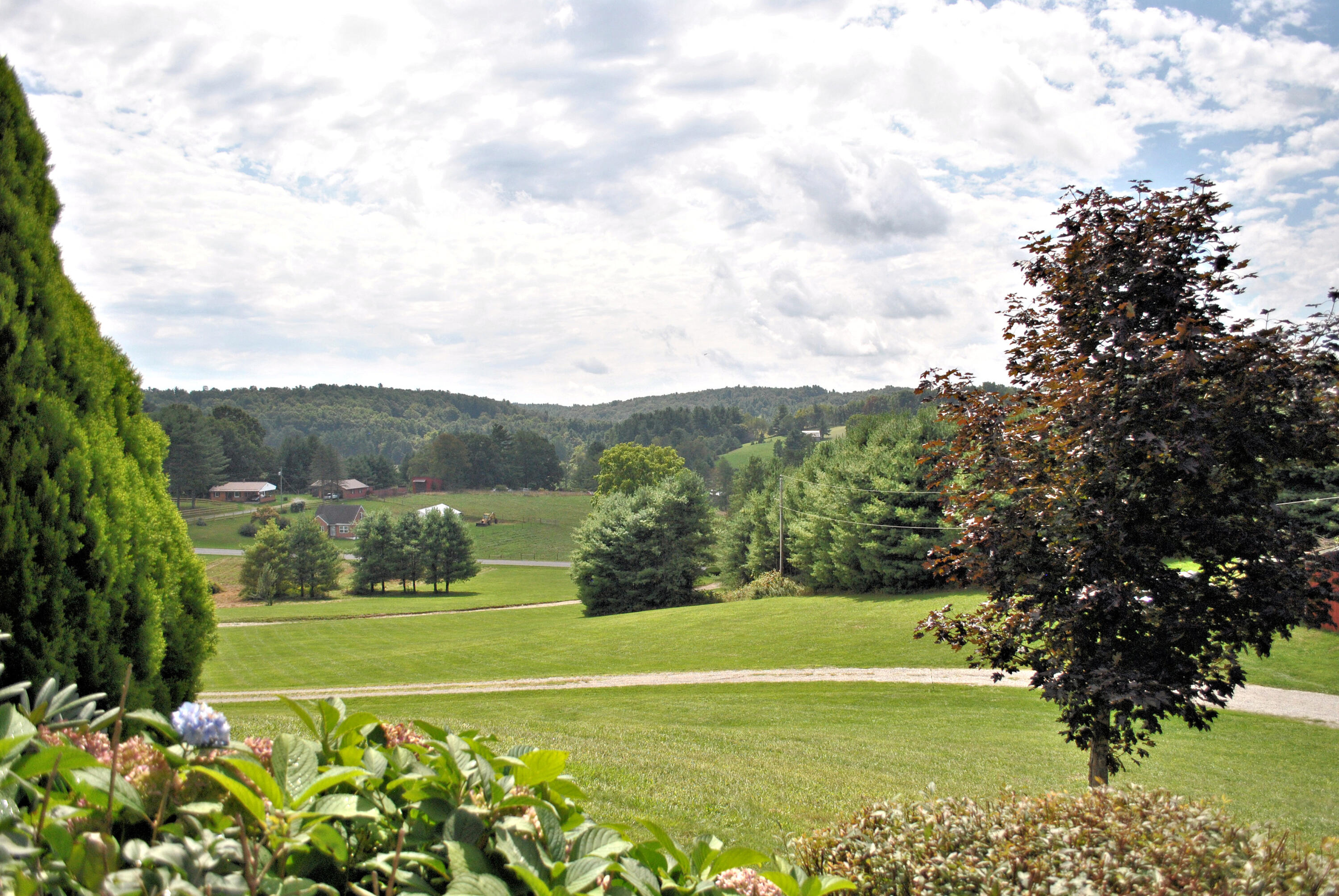 543 Meadow Run Road Southeast Copper Hill, VA 24079 - Photo 4 of 81 52DSC_1011