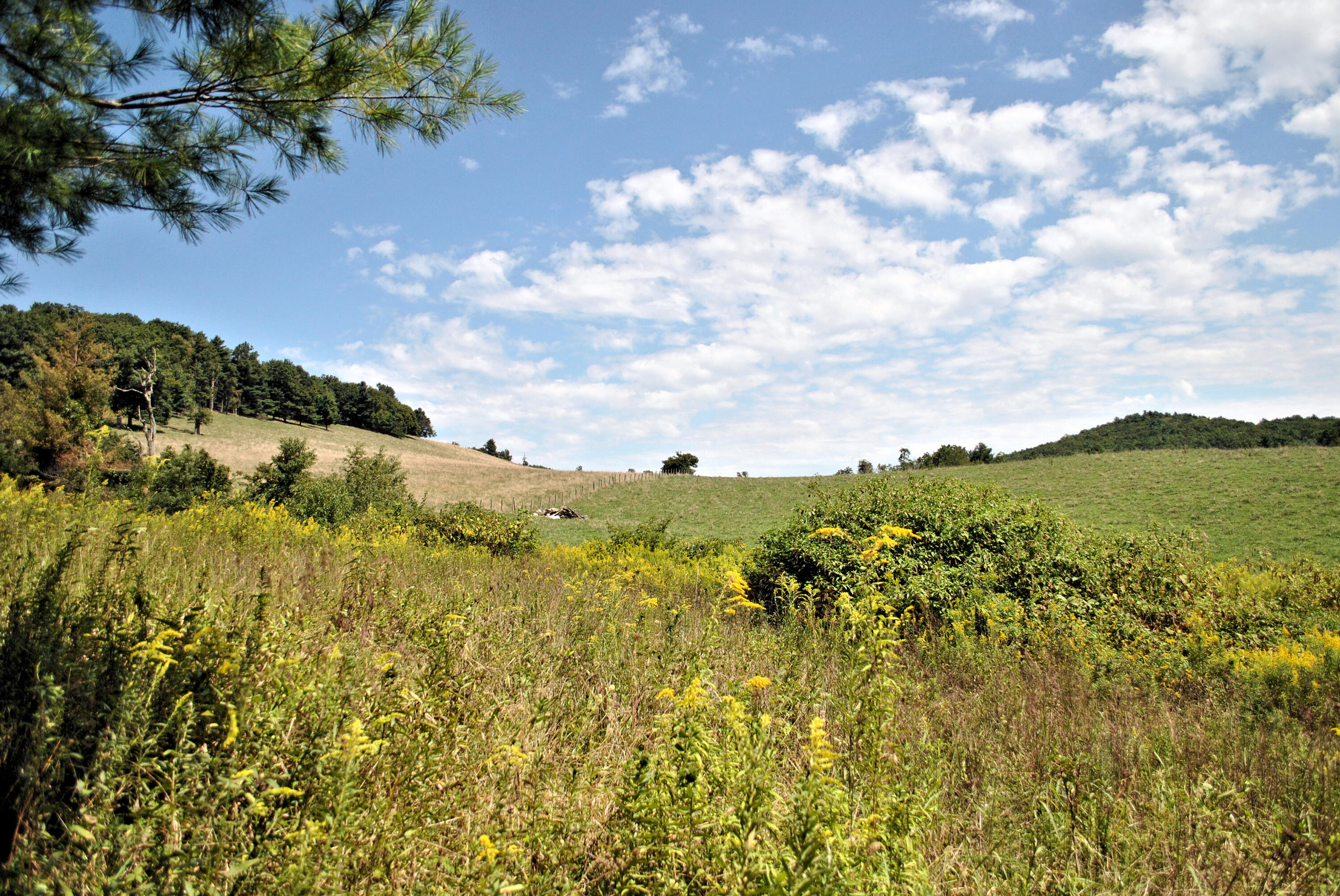 543 Meadow Run Road Southeast Copper Hill, VA 24079 - Photo 7 of 81 65DSC_0036