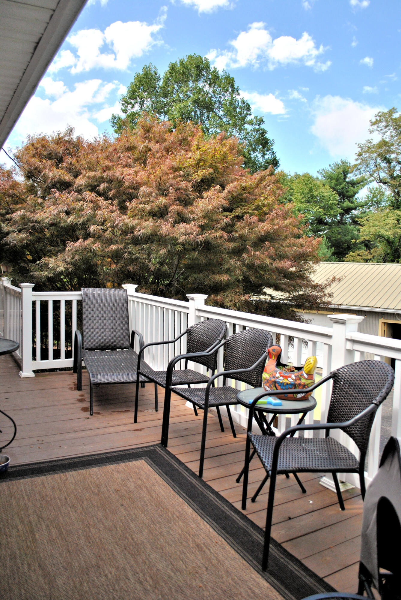 543 Meadow Run Road Southeast Copper Hill, VA 24079 - Photo 63 of 81 50DSC_1010