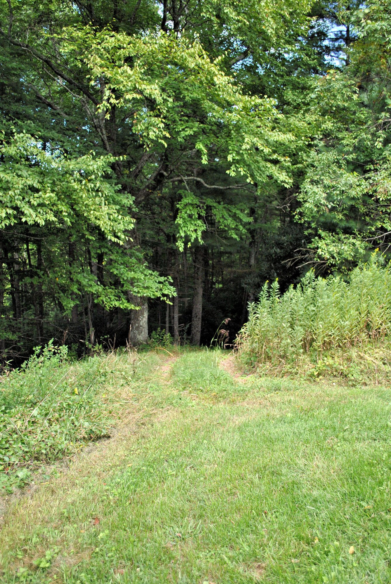 543 Meadow Run Road Southeast Copper Hill, VA 24079 - Photo 64 of 81 53DSC_0004