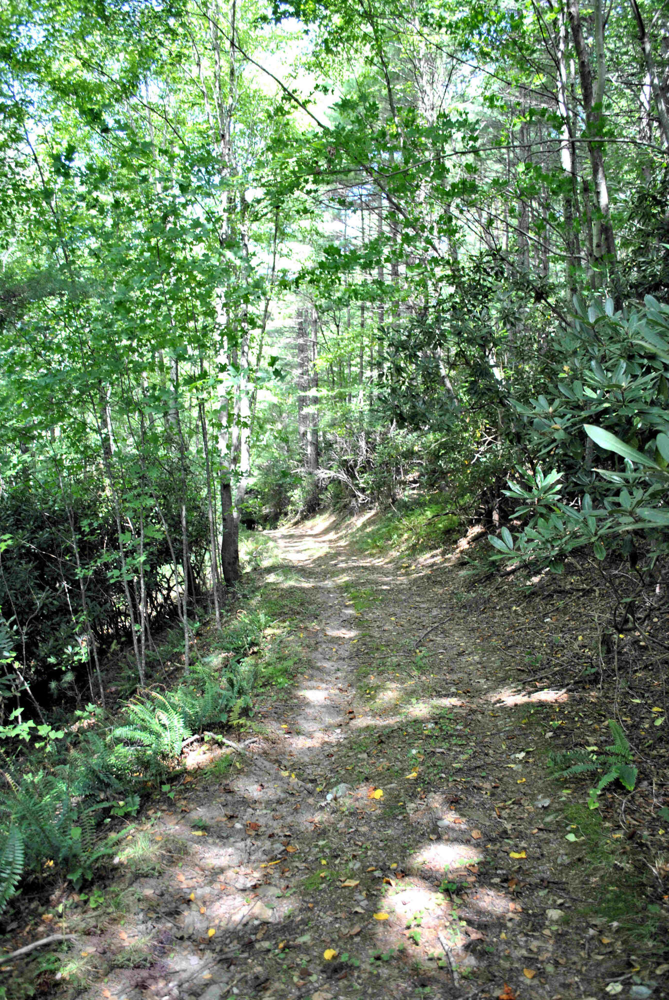 543 Meadow Run Road Southeast Copper Hill, VA 24079 - Photo 65 of 81 54DSC_0006