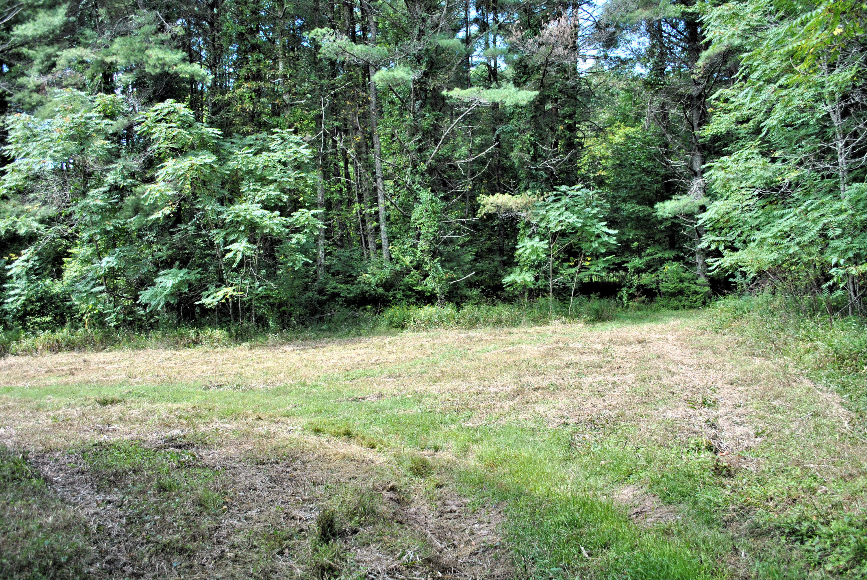 543 Meadow Run Road Southeast Copper Hill, VA 24079 - Photo 66 of 81 55DSC_0008