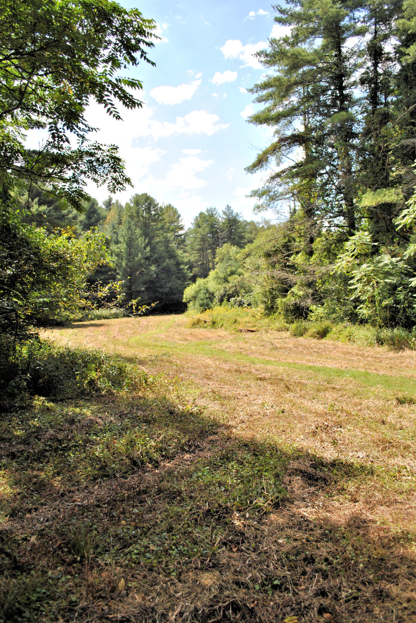 543 Meadow Run Road Southeast Copper Hill, VA 24079 - Photo 67 of 81 56DSC_0009