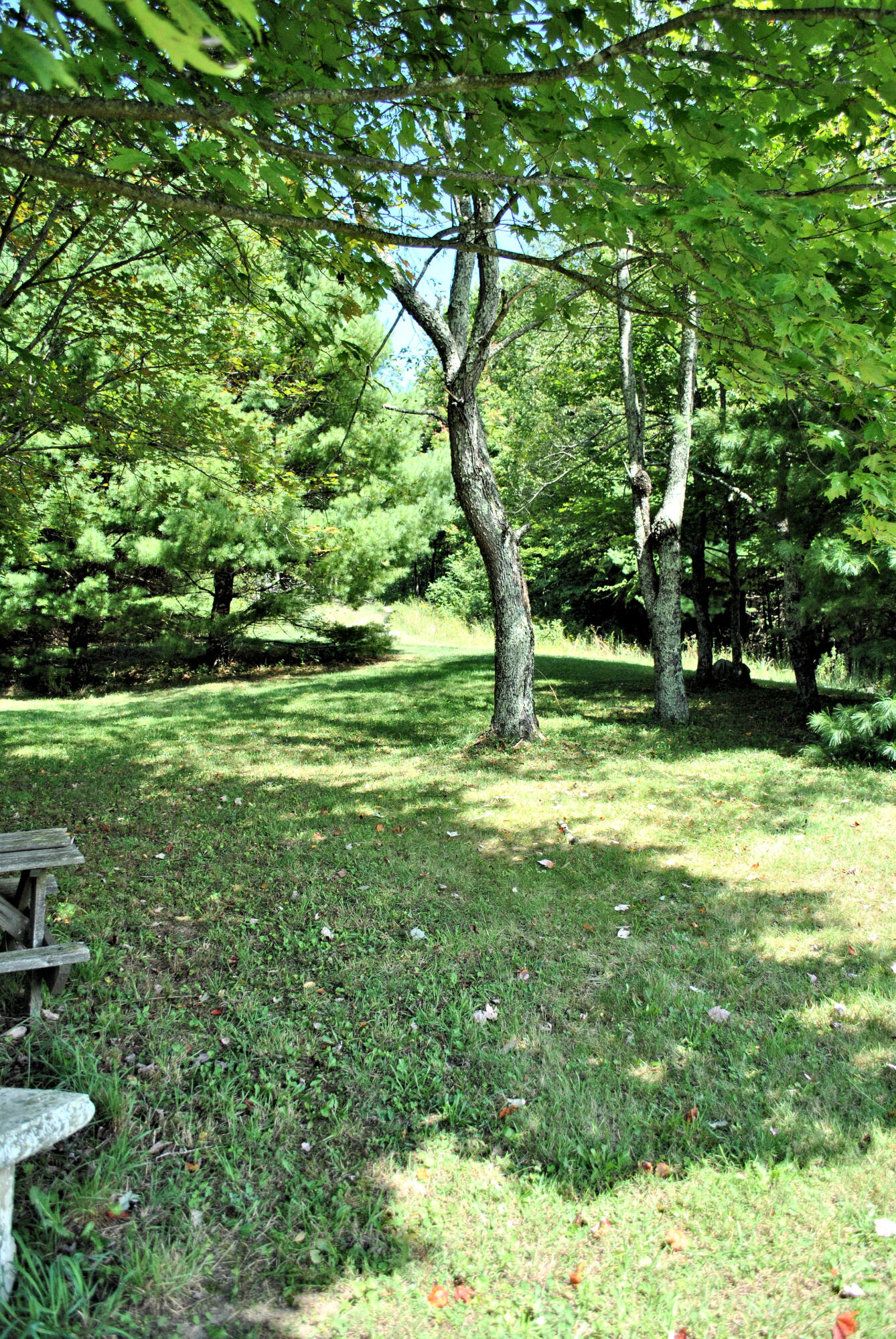 543 Meadow Run Road Southeast Copper Hill, VA 24079 - Photo 69 of 81 59DSC_0023