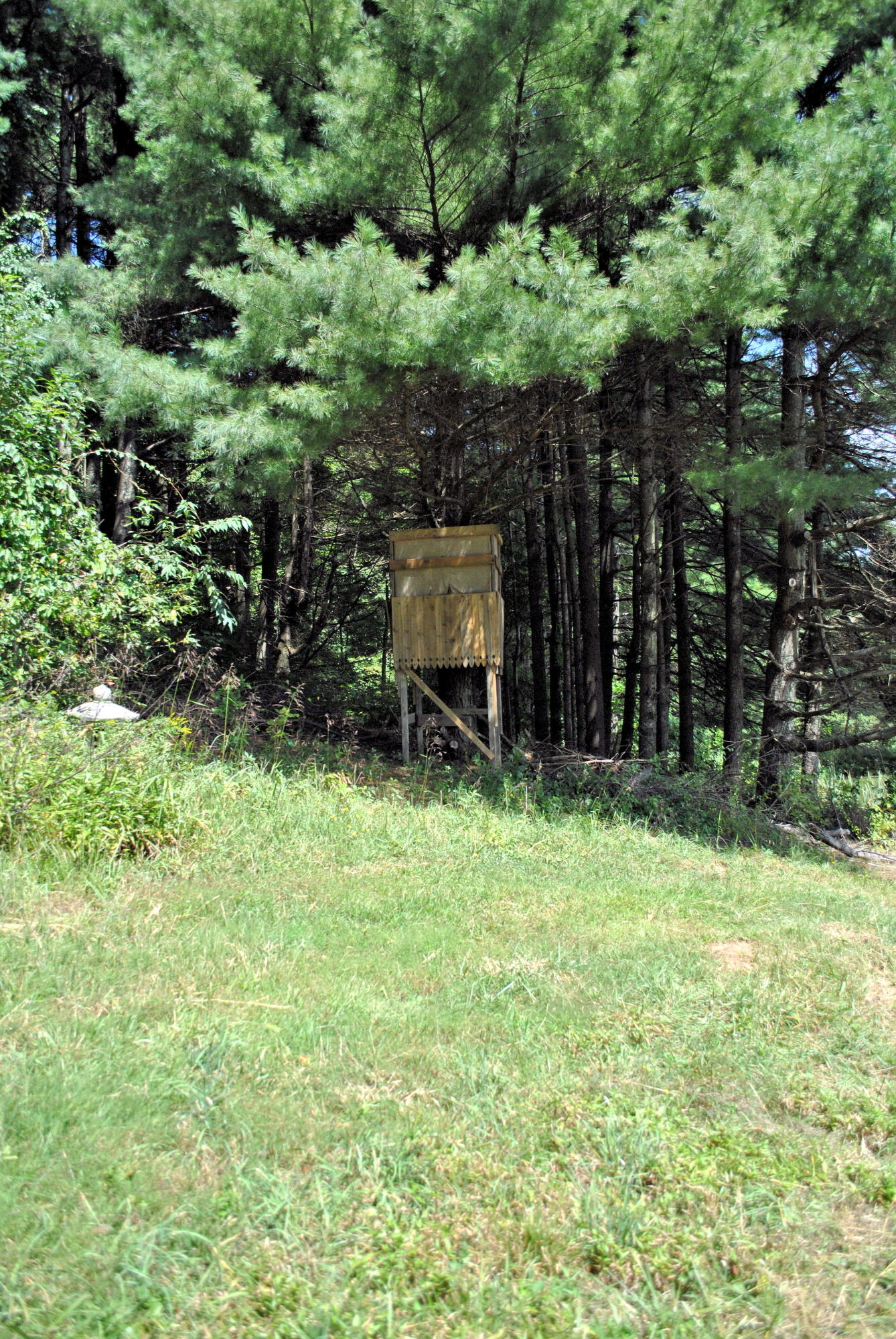 543 Meadow Run Road Southeast Copper Hill, VA 24079 - Photo 71 of 81 61DSC_0029
