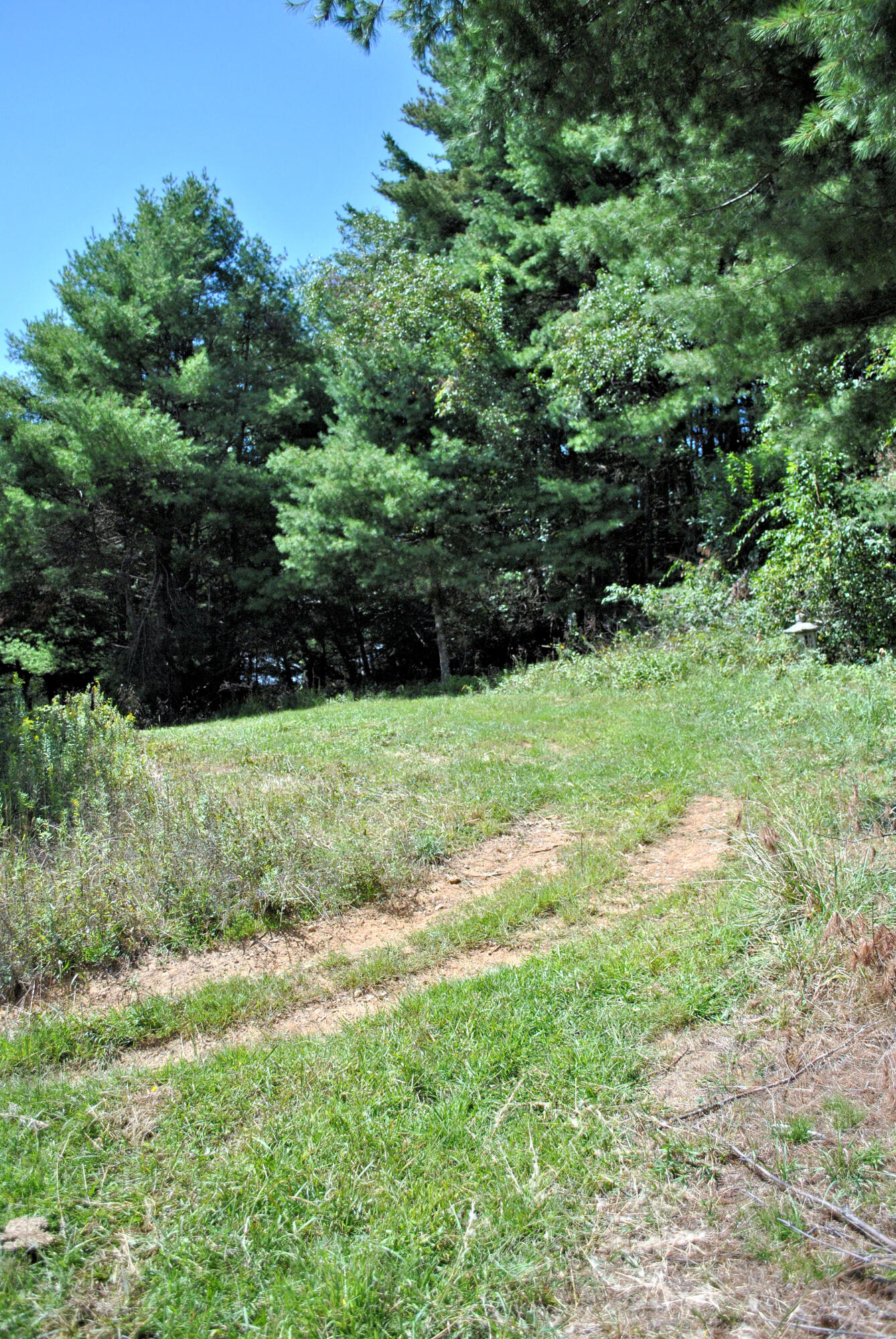 543 Meadow Run Road Southeast Copper Hill, VA 24079 - Photo 73 of 81 64DSC_0035