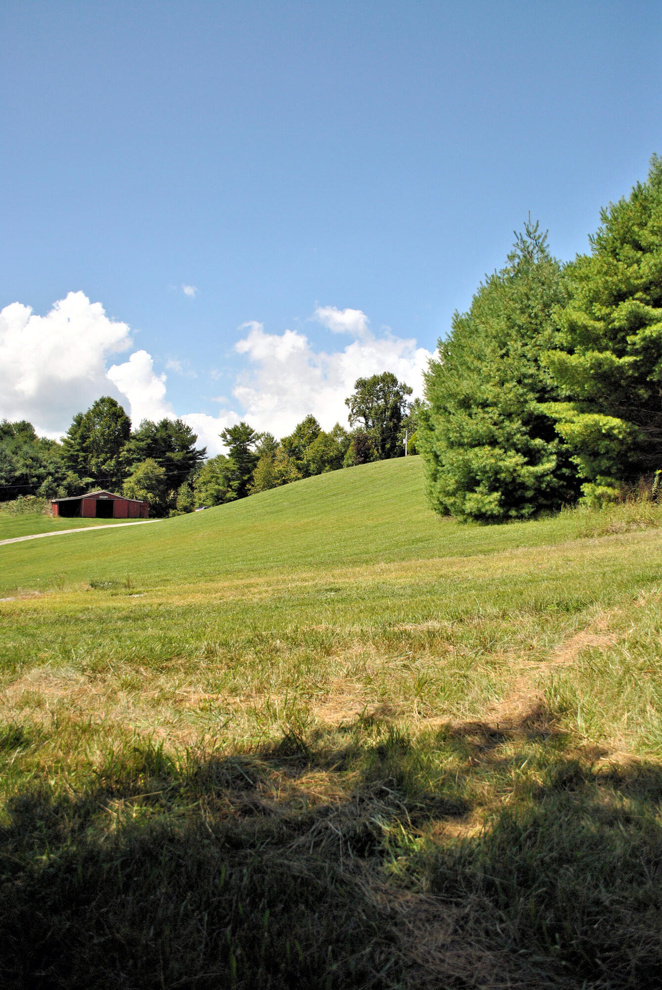 543 Meadow Run Road Southeast Copper Hill, VA 24079 - Photo 75 of 81 67DSC_0039