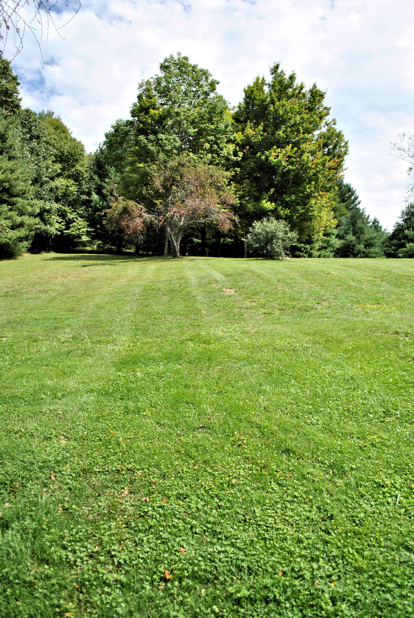 543 Meadow Run Road Southeast Copper Hill, VA 24079 - Photo 79 of 81 74DSC_0999