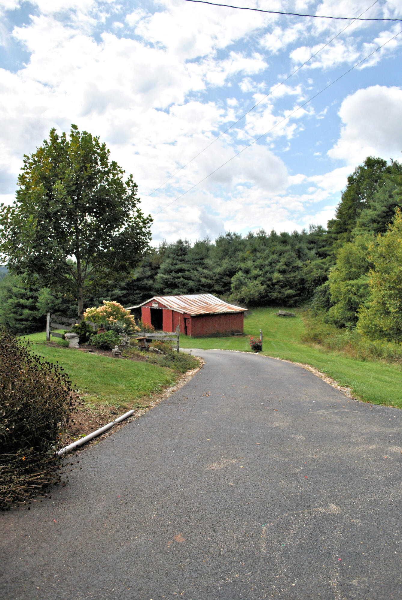 543 Meadow Run Road Southeast Copper Hill, VA 24079 - Photo 80 of 81 75DSC_1001
