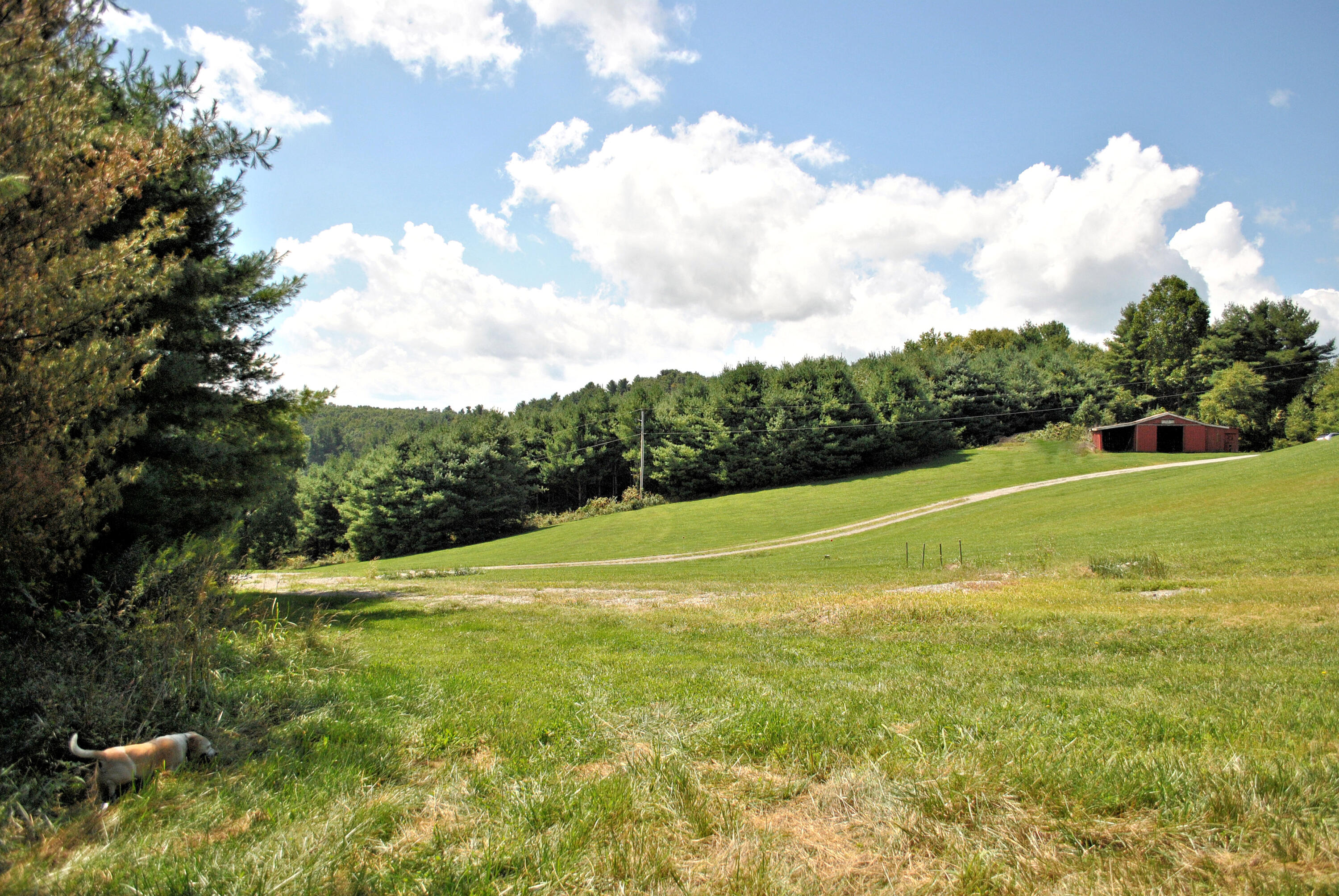 543 Meadow Run Road Southeast Copper Hill, VA 24079 - Photo 9 of 81 69DSC_0040