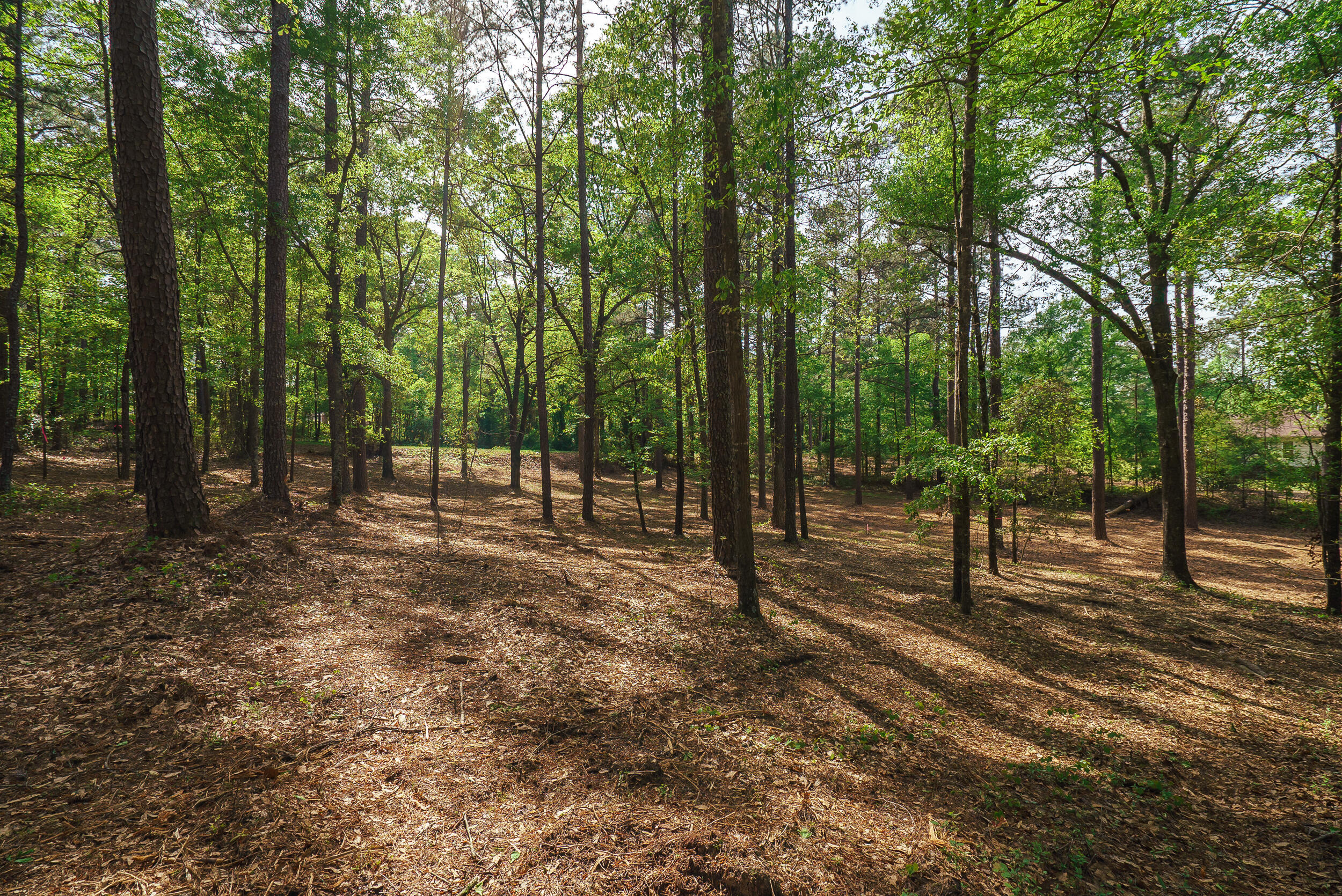 Lot 3 Banks Mill Road Southeast Aiken, SC 29803 - Photo 14 of 42