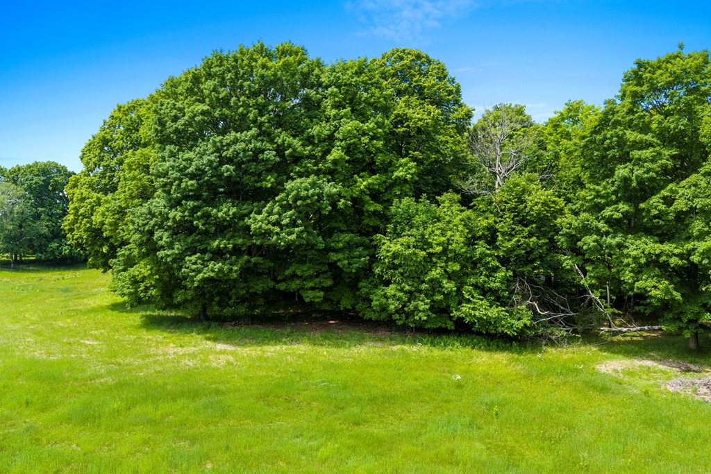 Lot #1 Horseshoe Bay Road Egg Harbor, WI 54209 - Photo 20 of 24