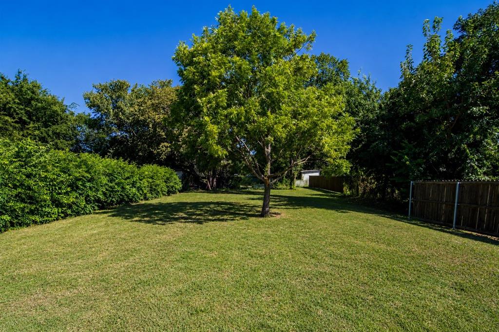 2831 Fordham Road Dallas, TX 75216 - Photo 7 of 8 Expansive green lawn featuring a mature shade tree, dense privacy hedges, and a wood fence