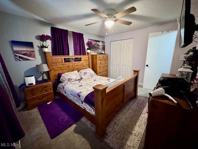240 Spring Creek Road Northfield, OH 44067 - Photo 15 of 39 Carpeted bedroom featuring ceiling fan and a closet