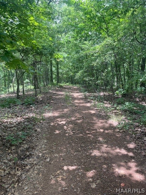 5000 Mines Road Ashland, AL 36251 - Photo 21 of 35 Gallery Image 21