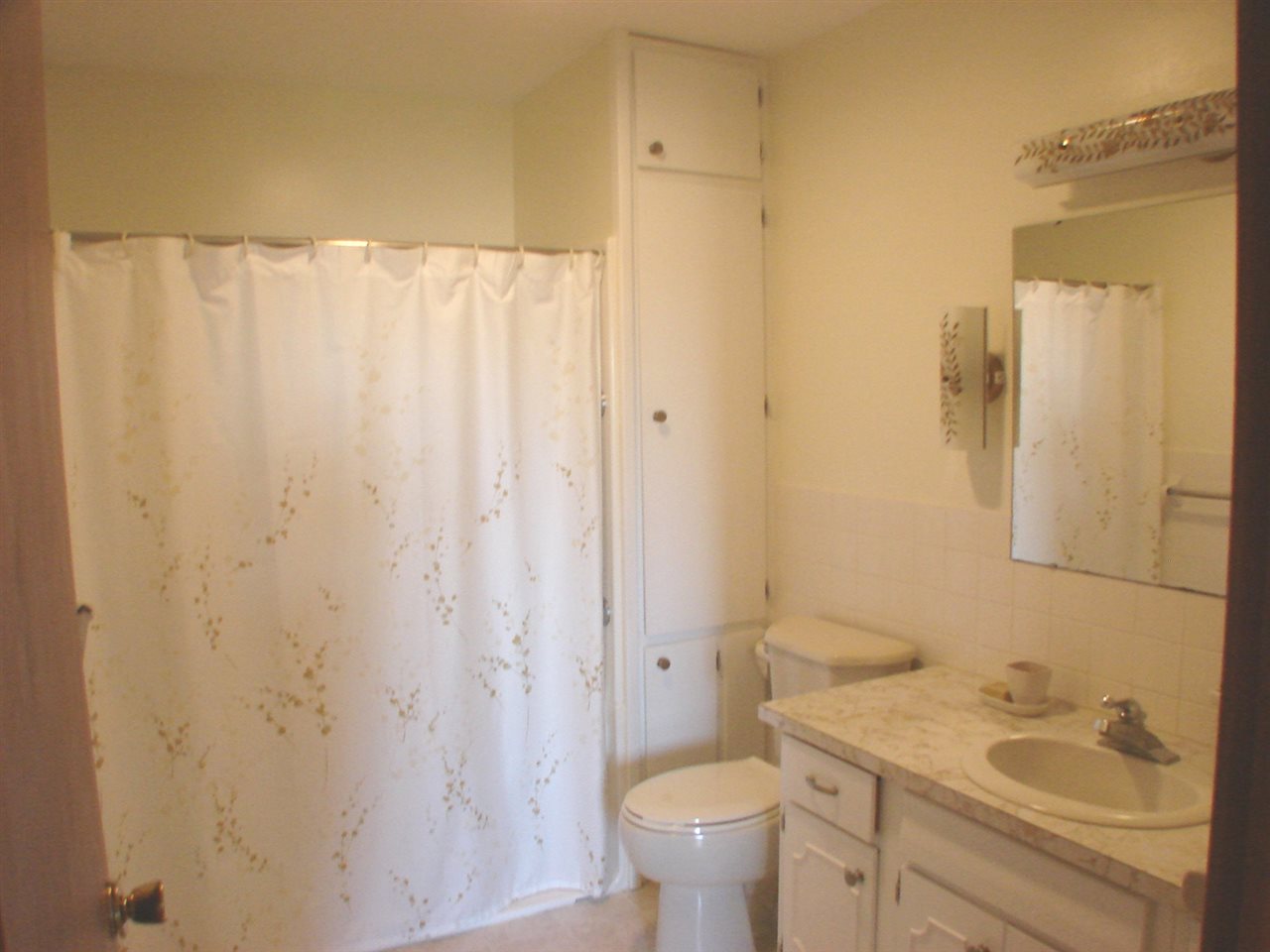 3636 West Humphrey Road Ithaca, MI 48847 - Photo 4 of 44 1809244-3.JPG
