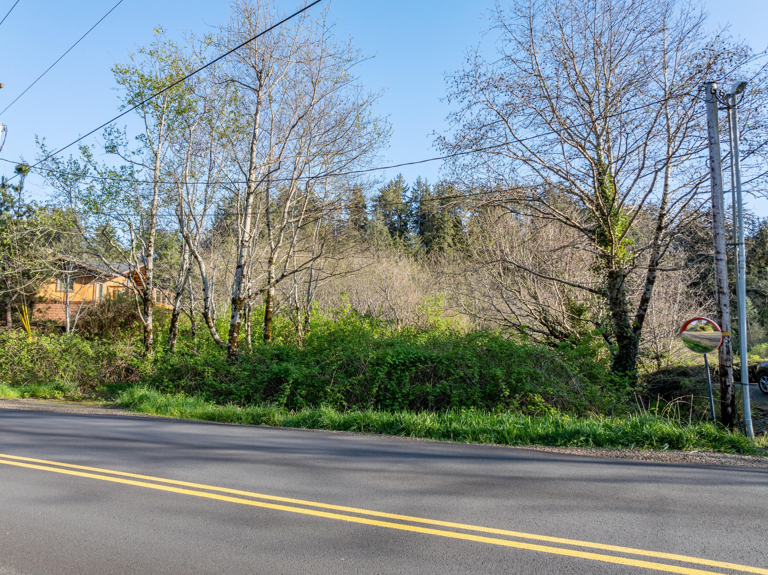 8808 Nehalem Road Nehalem, OR 97131 - Photo 3 of 16 Powell-Nehalem_Rd_Lot-002-Broken_Banjo-W