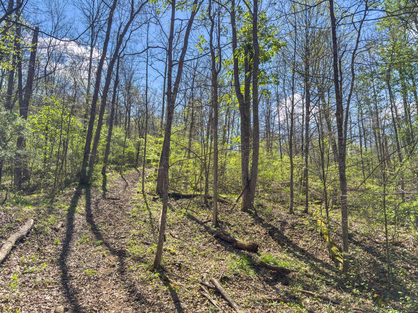 5235 Pounds Road Glouster, OH 45732 - Photo 2 of 28