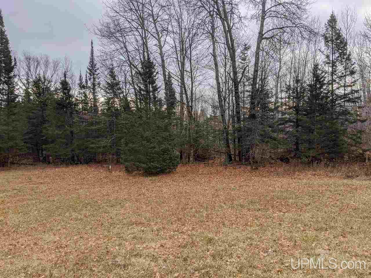 11851 Co Road Cornell, MI 49818 - Photo 28 of 49