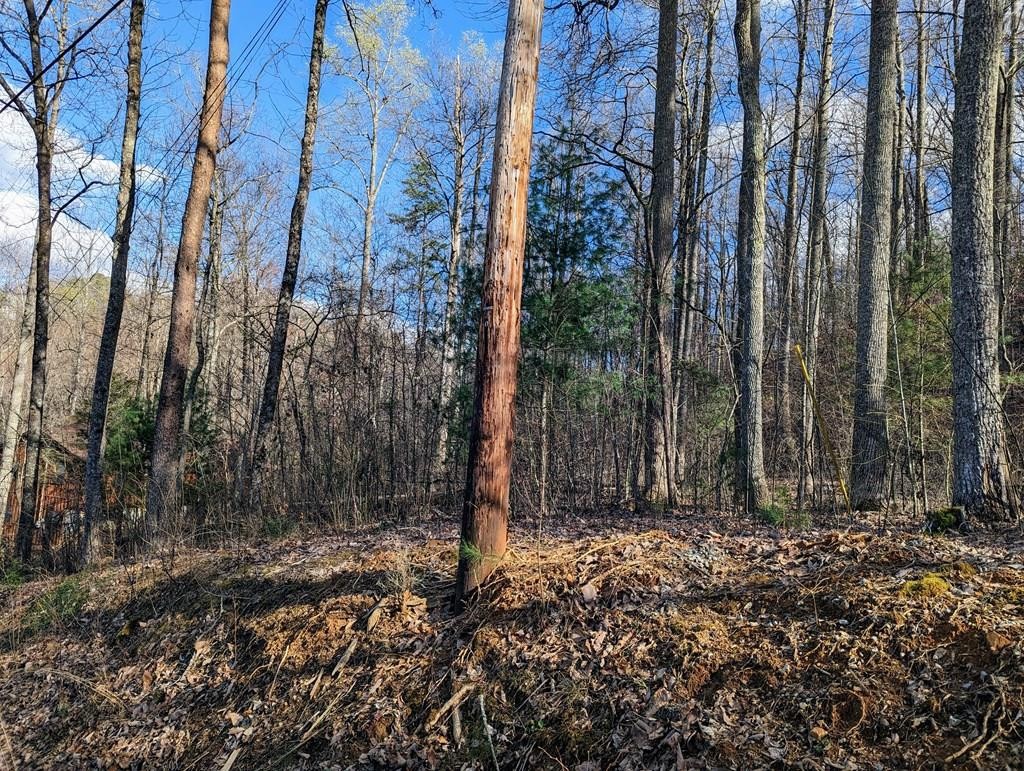 0 Shagbark Hickory Ridge Sevierville, TN 37862 - Photo 1 of 12