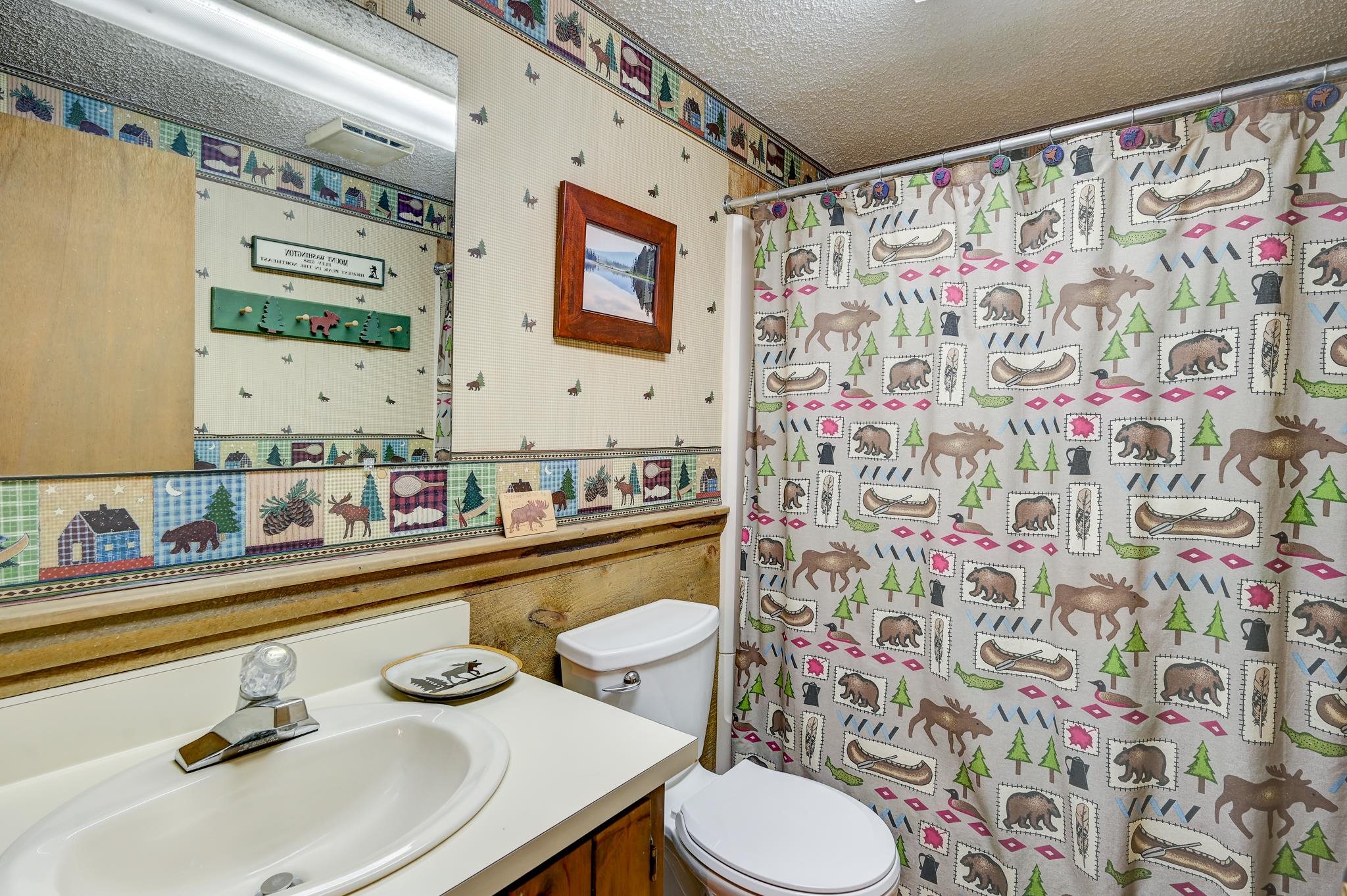 56 Forest Park Way, Unit 19 Conway, NH 03860 - Photo 16 of 45